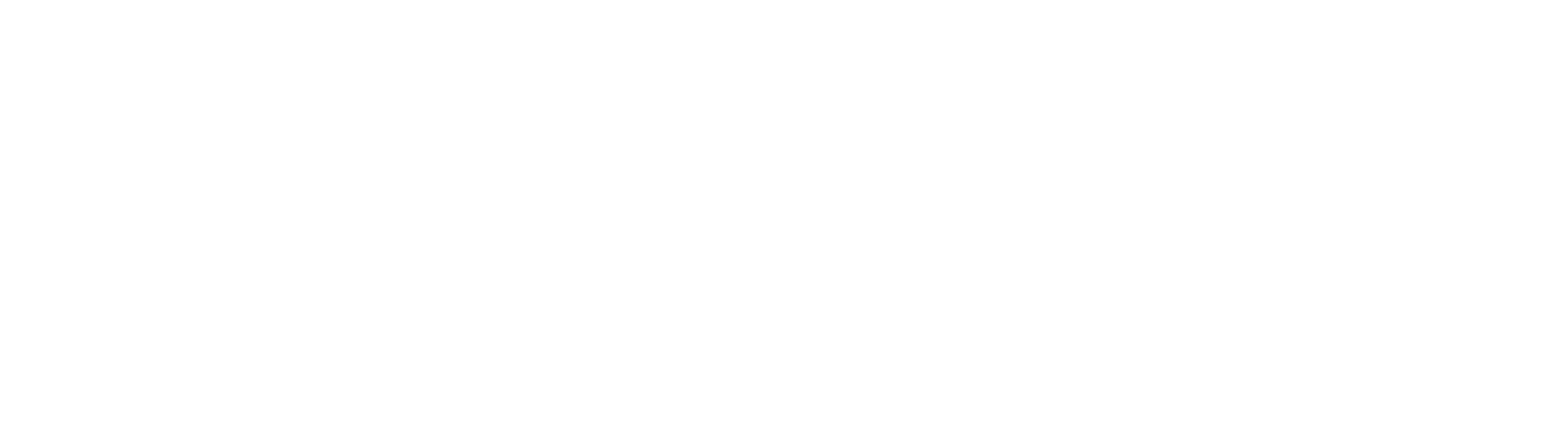 Logo 13